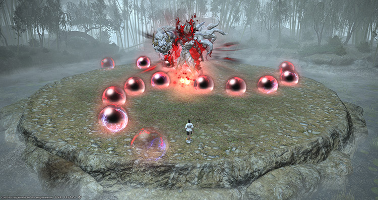Byakko spawning “Aratama” orbs / Final Fantasy XIV