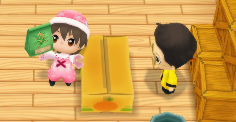 The farmer buys Toy Flower seeds from Huang at his Store. / Story of Seasons: Friends of Mineral Town
