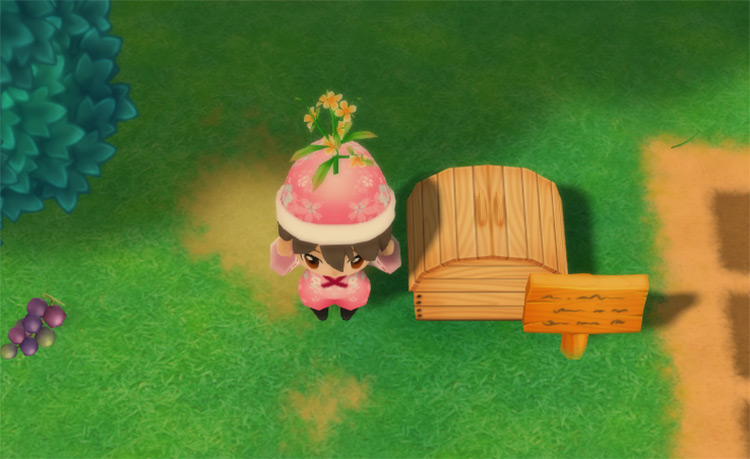The farmer drops a Toy Flower into the Shipping Bin. / Story of Seasons: Friends of Mineral Town