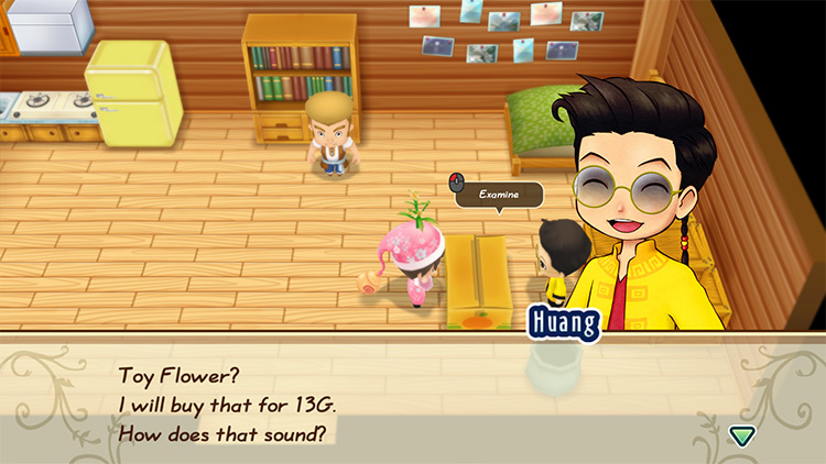 Huang offers to buy a Toy Flower from the farmer. / Story of Seasons: Friends of Mineral Town