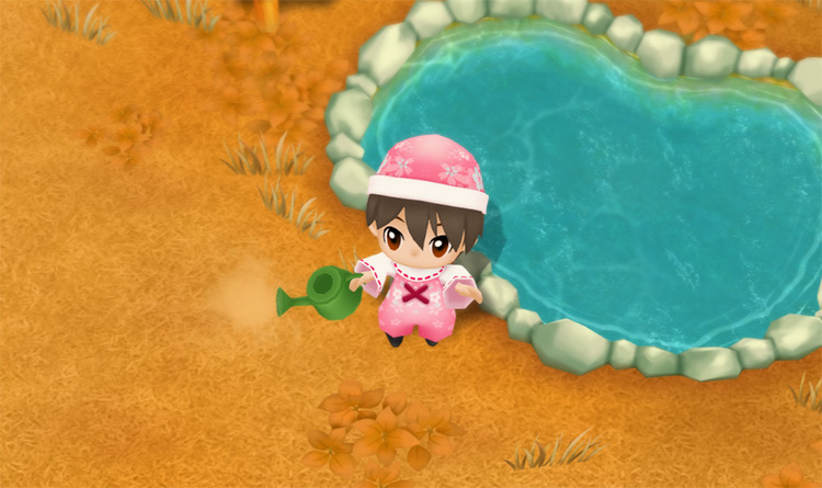 The farmer stands next to the pond while holding the Watering Can. / Story of Seasons: Friends of Mineral Town