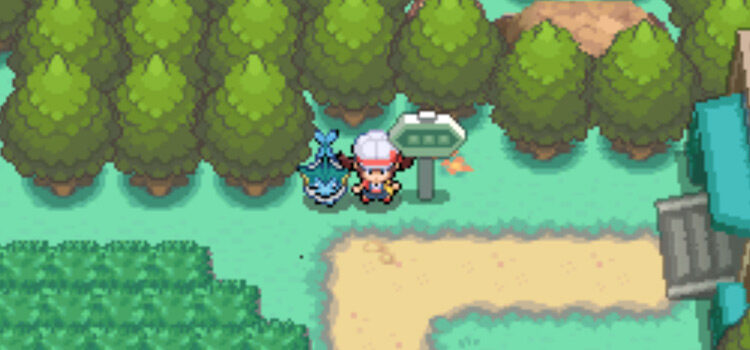 Standing on Route 38 where we can get a Thunderstone gift (HeartGold)