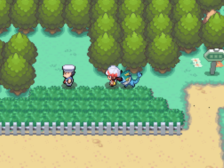 The gap between the white picket fence and the treeline on Route 38 / Pokémon HGSS
