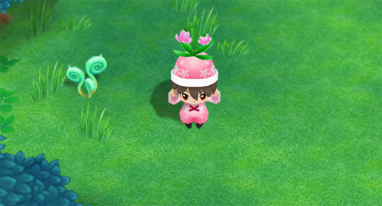 The farmer holds up a Pink Cat Flower. / Story of Seasons: Friends of Mineral Town