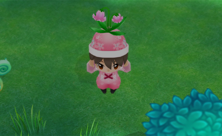 The farmer picks up a Pink Cat Flower near the Summit. / Story of Seasons: Friends of Mineral Town