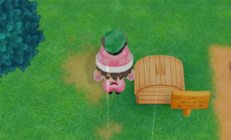 The farmer drops a Jade into the Shipping Bin. / Story of Seasons: Friends of Mineral Town