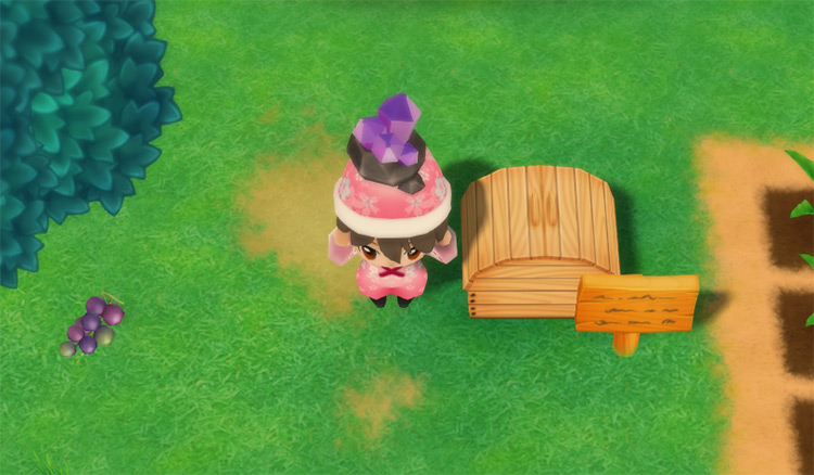 The farmer drops an Amethyst into the Shipping Bin. / Story of Seasons: Friends of Mineral Town