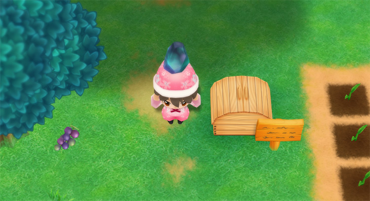 The farmer drops a Fluorite into the Shipping Bin. / Story of Seasons: Friends of Mineral Town